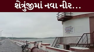 Bhavnagar : શેત્રુજીમાં પાણીની આવકમાં વધારો | MantavyaNews