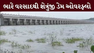 Bhavnagar : શેત્રુંજી ડેમની જળસપાટીમાં સતત વધારો | MantavyaNews