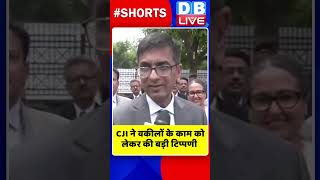 CJI ने वकीलों के काम को लेकर की बड़ी टिप्पणी #shorts #ytshorts #dblive #breaking  #dychandrachudnews