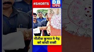 नीतीश कुमार ने पेड़ को बांधी राखी #shorts #ytshorts #shortsvideos #dblive #nitishkumar #biharnews