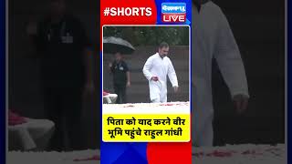 पिता को याद करने वीर भूमि पहुंचे राहुल गांधी #shorts #ytshorts #shortsvideos #dblive #rahulgandhi