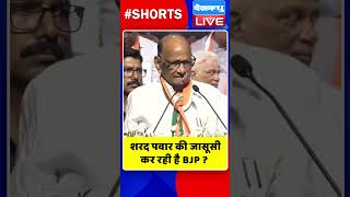 शरद पवार की जासूसी कर रही है BJP |  #shorts #ytshorts #shortsvideos #dblive  #breakingnews #video