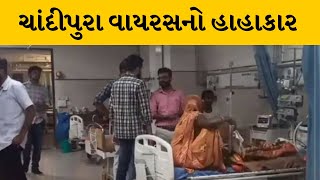 Gujarat માં ચાંદીપુરા વાયરસના કુલ 58 કેસ પૈકી 20ના મોત | MantavyaNews