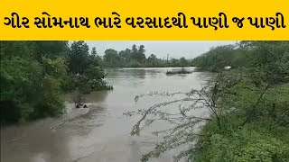 GirSomnath : કોડીનારમાં ભારે વરસાદથી પાણી ભરાયા | MantavyaNews