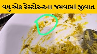 Ahmedabad : વસ્ત્રાલના સિટી કોર્નર રેસ્ટોરન્ટની દાળફ્રાયમાં જીવાત | MantavyaNews