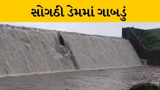 Jamnagar : જામજોધપુરના સોગઠી ડેમમાં ગાબડું પડતા જિલ્લા વહીવટી તંત્ર બન્યું સતર્ક | MantavyaNews