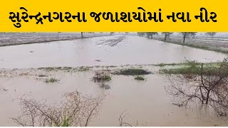 Surendranagar માં સાર્વત્રિક મેઘ મહેર, જુઓ સૌથી વધુ ક્યાં તાલુકામાં પડ્યો વરસાદ | MantavyaNews