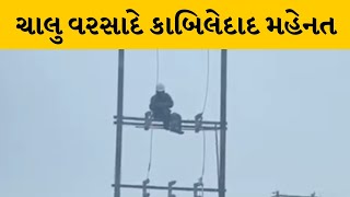 Porbandar : PGVCL કર્મચારીની ચાલુ વરસાદે કાબિલેદાદ મહેનત | MantavyaNews