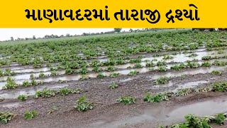 જુનાગઢમાં 6 દિવસથી સમગ્ર જિલ્લામાં ભારે વરસાદ | MantavyaNews