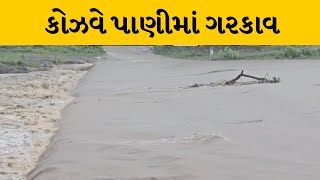 Chhotaudepur : નસવાડીમાં ધોધમાર વરસાદથી નદી બે કાંઠે, કોઝવે પાણીમાં ગરકાવ થતા વાહનવ્યવહાર બંધ