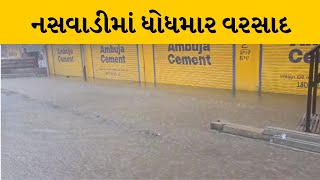 Chhotaudepur : નસવાડીમાં ધોધમાર વરસાદ, દુકાનો અને ઘરોમાં વરસાદી પાણી ભરાયા | MantavyaNews