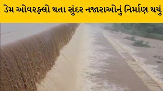 Tapi જિલ્લામાં અવિરત વરસાદના કારણે સોનગઢનો ડોસવાડા ડેમ ઓવરફ્લો | MantavyaNews