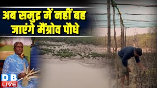 अब समुद्र में नहीं बह जाएंगे मैंग्रोव पौधे-Sustainable Mangrove Restoration in Tamil Nadu |#EcoIndia