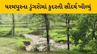 Valsad જિલ્લાના તમામ તાલુકામાં હળવો વરસાદ | MantavyaNews