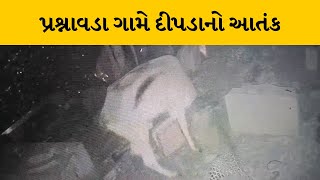 Gir somnath  : પ્રશ્નાવડા ગામે દીપડાનો આતંકથી ગ્રામજનોમાં ડરનો માહોલ | MantavyaNews