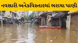 Navsari : પુર્ણા નદીના પાણી  શાંતાદેવી વિસ્તારમાં ભરાયા પાણી | MantavyaNews