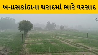 Banaskantha : સરહદી પંથકમાં વરસાદનું આગમન | MantavyaNews