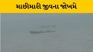 Dwarka : અરબી સમુદ્રમાં જીવના જોખમે માછીમારી | MantavyaNews