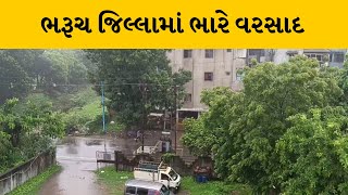 Bharuch જિલ્લામાં વિરામ બાદ ફરી ધોધમાર વરસાદ, હાંસોટમાં સૌથી વધુ 5.75 ઇંચ ખાબક્યો વરસાદ |