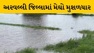 Arvalli જિલ્લામાં સાર્વત્રિક વરસાદ. મોડાસામાં સૌથી વધુ 458 મીમી ખાબક્યો વરસાદ | MantavyaNews