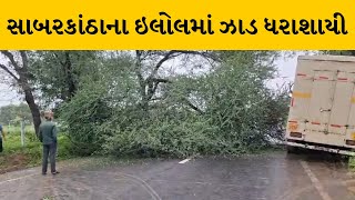 Sabarkantha : ઇલોલમાં રોડ પર મહાકાય ઝાડ પડયુ, ઝાડ ધરાશાયી થતા વાહનવ્યવહારને અસર | MantavyaNews