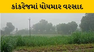 Banaskantha : કાંકરેજમાં સતત બીજા દિવસે પણ ધોધમાર વરસાદ | MantavyaNews