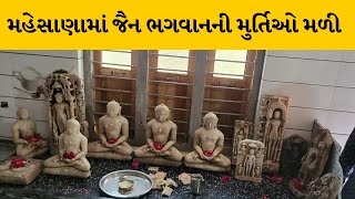 Mahesana : કડીના થોળ ગામે ખોદકામ દરમ્યાન  જૈન ભગવાનની મુર્તિઓ મળી  | MantavyaNews