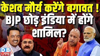 केशव मौर्य छोड़ेंगे BJP ? BJP को बड़ा झटका ! Uttar Pradesh Politics | CM Yogi | Breaking | #dblive