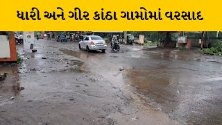 Amreli : ધારી અને ગીર કાંઠા આસપાસના ગ્રામ્ય વિસ્તારોમાં ધીમીધારે વરસાદ  | MantavyaNews