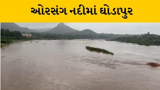 Chhotaudepur : વરસાદના પગલે ઓરસંગ નદીમાં ઘોડાપુર | MantavyaNews