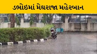 Vadodara ના શહેરના વિસ્તારોમાં ભારે પવન સાથે વરસાદી માહોલ | MantavyaNews