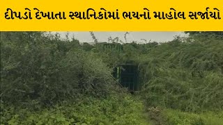 Bharuch ના અંકલેશ્વરમાં જીનવાલા સ્કૂલ ગૌતમ પાર્ક પાસે દીપડો દેખાતા સ્થાનિકોમાં ભયનો માહોલ સર્જાયો |