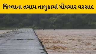 Valsad જિલ્લામાં વરસાદની હેલી યથાવત | MantavyaNews