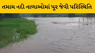 Valsad ના કપરાડામાં મુશળધાર વરસાદ | MantavyaNews