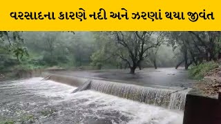 Sabarkantha માં જોવા મળ્યા નયનરમ્ય દ્રશ્યો | MantavyaNews