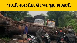 Valsad : પારડી નાનાપોંઢા રોડ પર વૃક્ષ ધરાશાયી થતા ટ્રાફિકના કારણે બે વાહનો વચ્ચે સર્જાયો અકસ્માત |