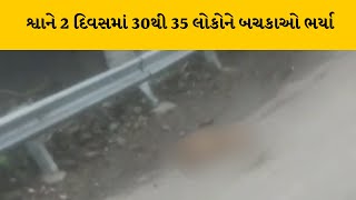 Amreli ના વડીયામાં હડકાયા શ્વાનના આતંકનો આવ્યો અંત | MantavyaNews