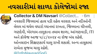 Navsari : પુરની પરિસ્થિતિને લઈ શાળા કોલેજોમાં રજા જાહેર કરાઈ  | MantavyaNews