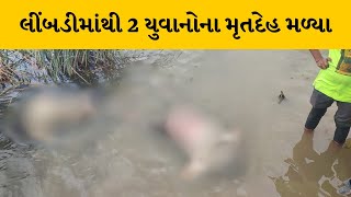 Surendranagar : લીંબડીમાં ઉઘલ ગામે ભોગાવો નદીમાંથી 2 યુવાનોના મૃતદેહ મળ્યા | MantavyaNews