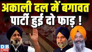 Shiromani Akali Dal में बगावत, पार्टी हुई दो फाड़ ! Sukhbir Singh Badal | Punjab News | #dblive