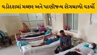 Vadodara : મચ્છર અને પાણીજન્ય રોગચાળો વકર્યો, કન્સ્ટ્કશન સાઈડ પર મચ્છરના પોરા મળતા નોટિસ |