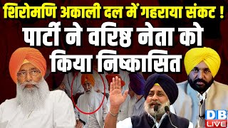 Shiromani Akali Dal में गहराया संकट ! पार्टी ने वरिष्ठ नेता को किया निष्कासित | Punjab | #dblive