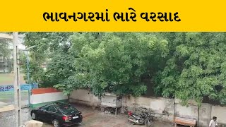 Bhavnagar જિલ્લાના તમામ તાલુકાઓમાં ભારે વરસાદ  | MantavyaNews