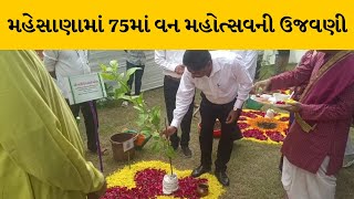 Mahesana જિલ્લામાં 75માં વન મહોત્સવની ઉજવણી ભાંડું કોલેજ ખાતે કરાઇ | MantavyaNews