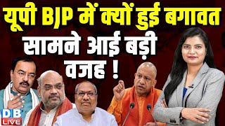 यूपी BJP में क्यों हुई बगावत, सामने आई बड़ी वजह ! Keshav Prasad Maurya, Nazul Land Bill