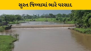 Surat : ઉમરપાડામાં ભારે વરસાદ વરસતા મહુવન નદીમાં પાણીની આવક વધી | MantavyaNews