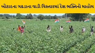 Botad : ગઢડાના વાડી વિસ્તારમાં ખેડૂતો અને ખેત મજુરોએ તિરંગો લહેરાવી પોતાના ખેતરમાં કર્યું કામ |