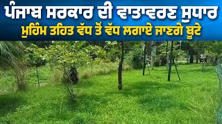 Punjab Government ਦੀ  Environment ਸੁਧਾਰ ਮੁਹਿੰਮ ਤਹਿਤ ਵੱਧ ਤੋਂ ਵੱਧ ਲਗਾਏ ਜਾਣਗੇ ਬੂਟੇ