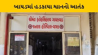 Aravalli : બાયડમાં હડકાયા શ્વાનનો આતંક સ્ટેશન વિસ્તારમાં શ્વાને 20થી વધુ લોકોને ભર્યા બચકા |