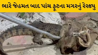 Vadodara : જાંબવા પાસે બંગલોઝમાં મગરની લટારથી લોકોમાં ભય | MantavyaNews